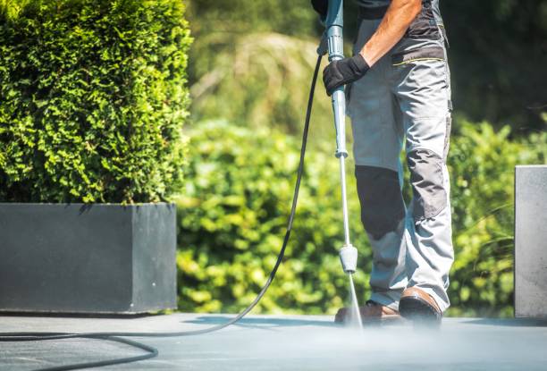 Best Commercial Pressure Washing in Pea Ridge, WV
