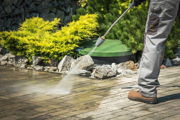 Best Building Exterior Pressure Washing in Pea Ridge, WV