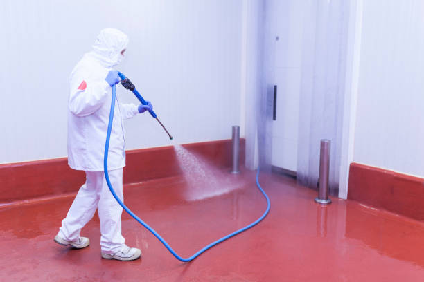 Best Residential Pressure Washing in Pea Ridge, WV