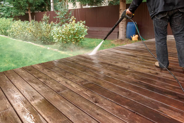 Best Roof Cleaning and Mildew Removal in Pea Ridge, WV