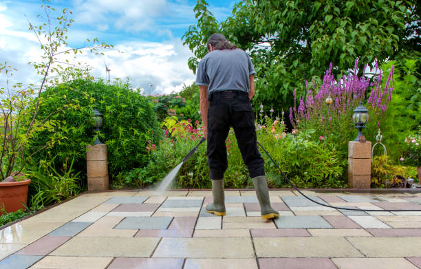 Best Fence Cleaning and Maintenance in Pea Ridge, WV